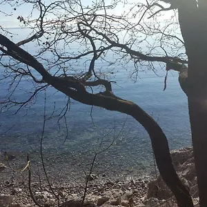 Sandi Apartman